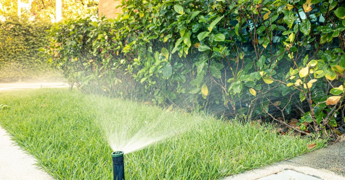 Arrosage automatique 4